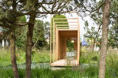 Cloudy Bay Garden, chelsea flower show