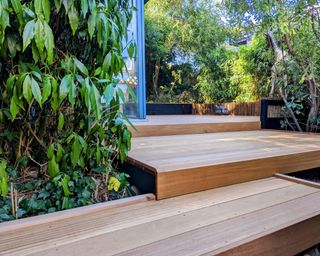 tiered deck with plants