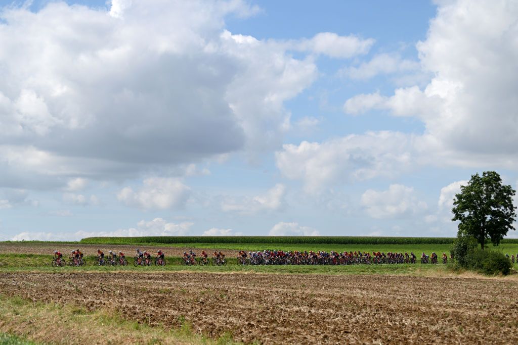 AMNEVILLE FRANCE AUGUST 15 competes during the 3rd Tour de France Femmes 2024 Stage 5 a 1522km stage from Bastogne to Amneville UCIWWT on August 15 2024 in Amneville France Photo by Dario BelingheriGetty Images