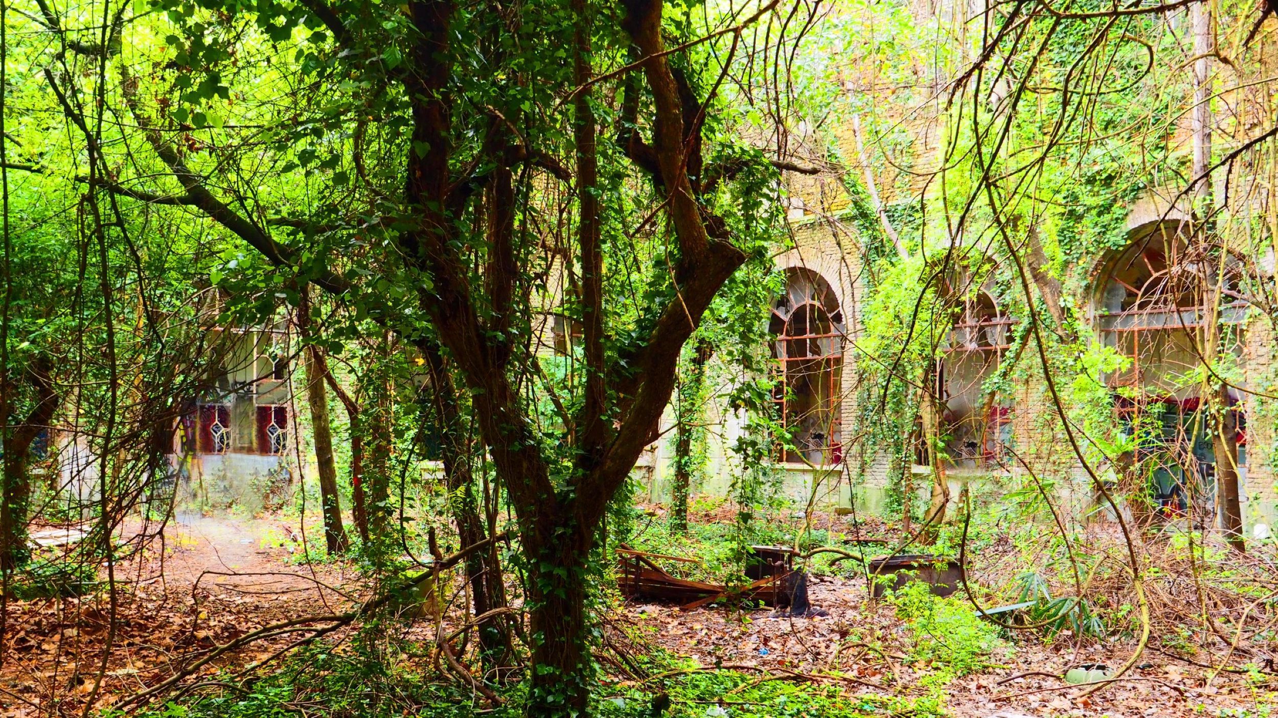 an abandoned building with trees and vines growing in the courtyard