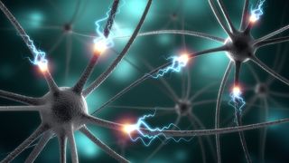 New Artificial Synapses Pave Way For Brain Like Computers Live Science