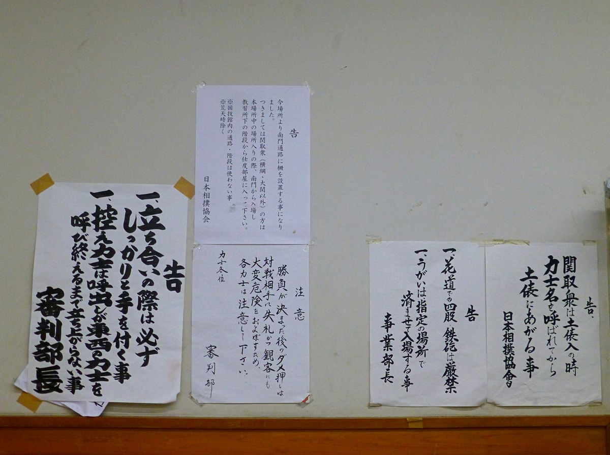 Copyright Kazuyo Horie