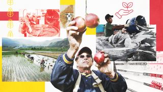 A collage of farming and people holding food.