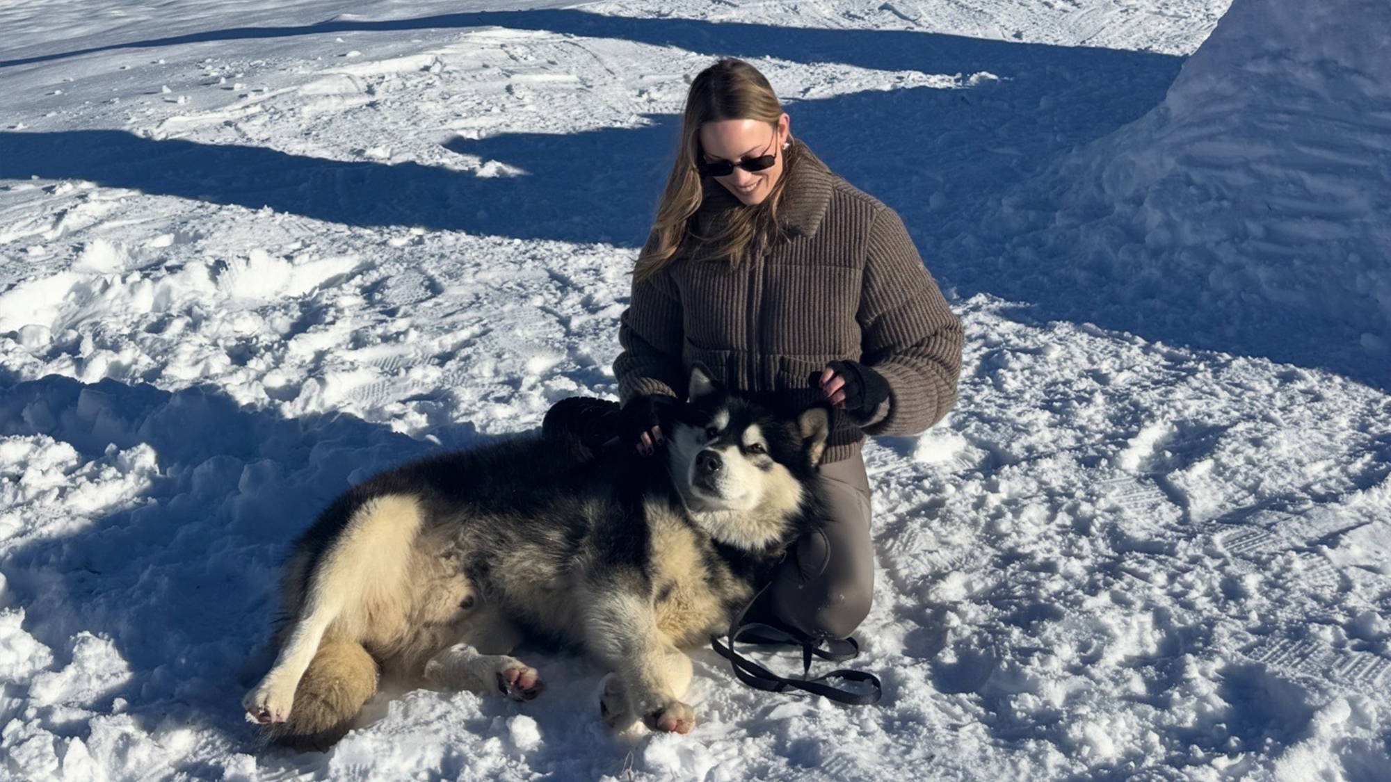 alo atelier outerwear