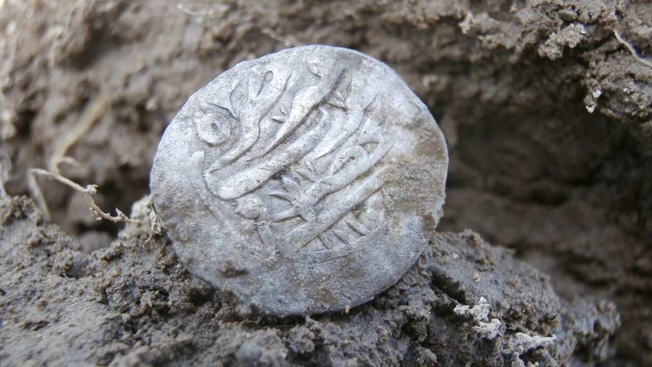 Bailey&nbsp;unearthed the&nbsp;silver coin at the site of&nbsp;a&nbsp;colonial township&nbsp;along&nbsp;the coast. The distinctive coins have since been found elsewhere in Rhode Island, and in Connecticut, Massachusetts and North Carolina.
