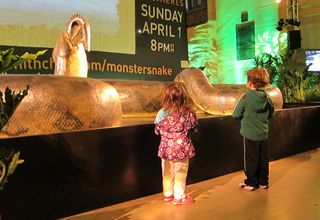 Two young kids stare at the gigantic titanoboa snake in Grand Central's Vanderbilt Hall.