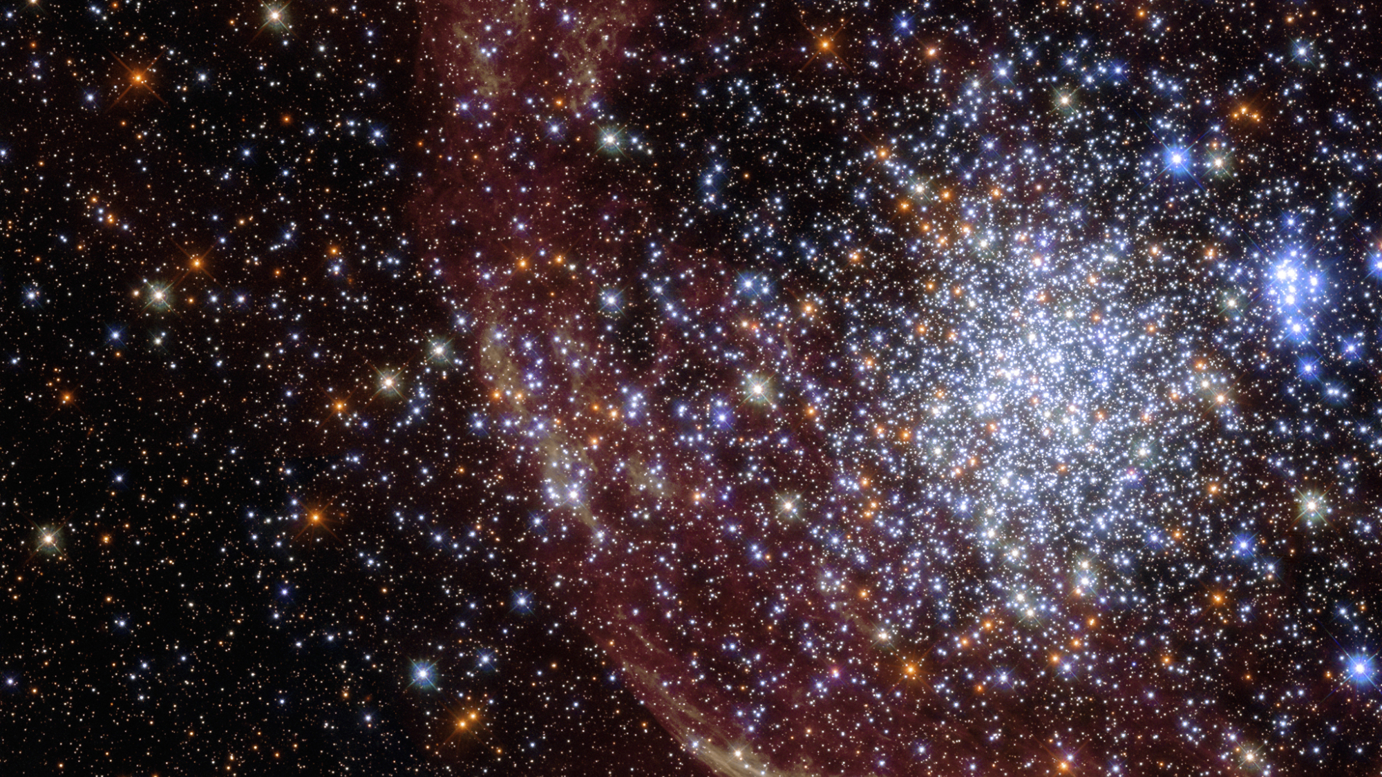 This Hubble image shows the star cluster NGC 1850, located approximately 160,000 light-years away.