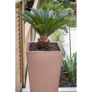 An oversized planter on a patio, with a tropical plant inside it