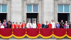 The royals working on the anniversary of Queen Elizabeth's death revealed. Seen here the Royal Family watch an RAF flypast from the balcony of Buckingham Palace