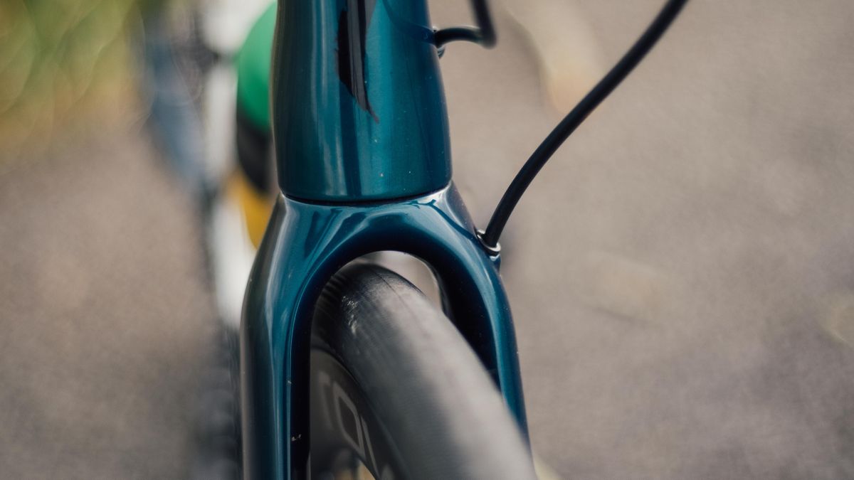 Specialized Roubaix Expert