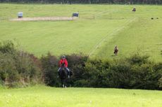 What to do with horse day before event