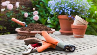 Gardening twice a week helps relieve stress, new study shows: An image showing a plant pot and gardening gloves