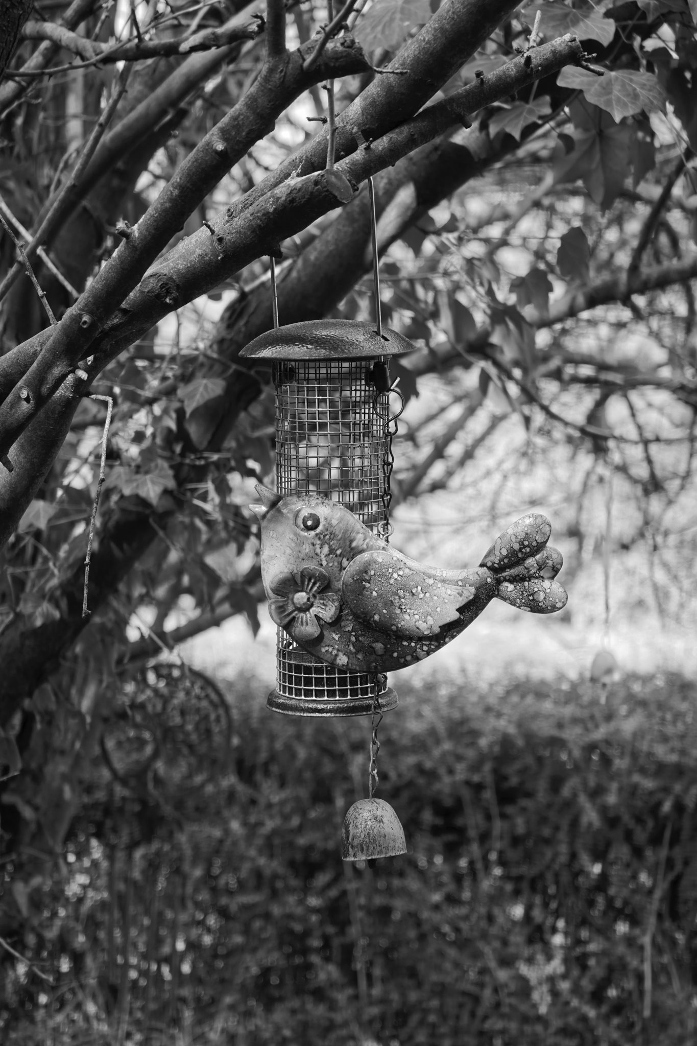 Leica Q3 Monochrom vs Leica Leitzphone comparison