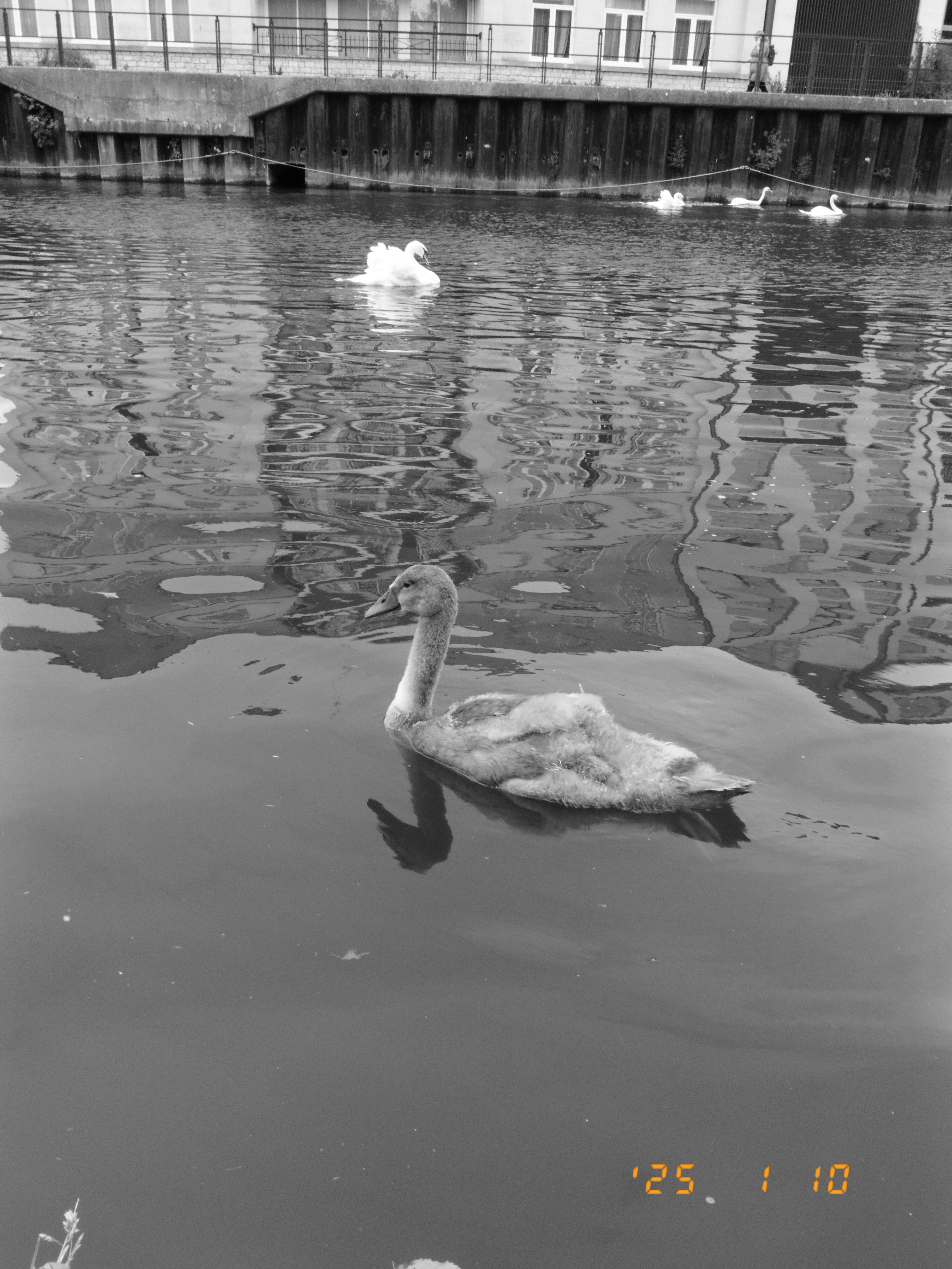Photo taken on a Fujifilm X half