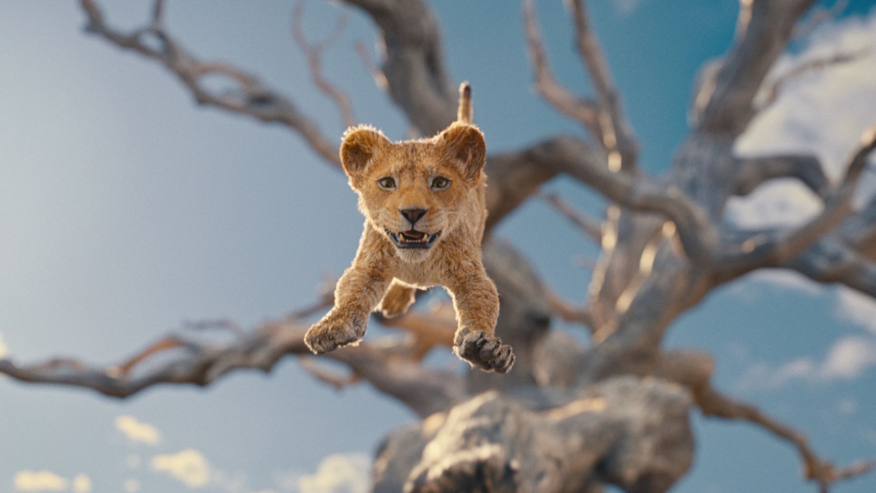 Mufasa The Lion King — release date, trailer, cast and more What to