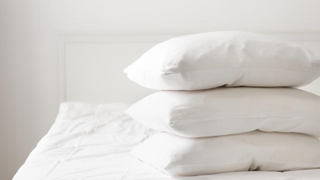 allergen free duvet and pillows
