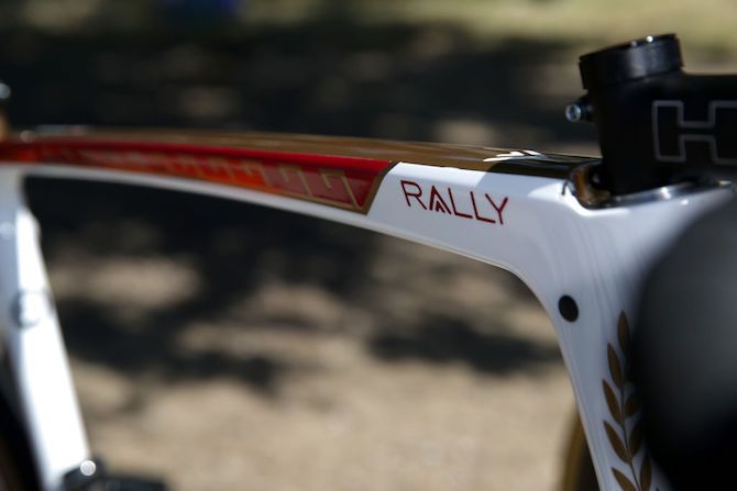 'Gladiator' is Brandon McNulty's 58cm frame. Ten-year-old Lucas' picture of himself at a colosseum inspired the design: the bronze-gold and scarlet colours, laurel wreaths and Roman mosaic patterns would be good enough for Russell Crowe to ride