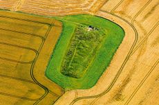 Aerial view of West Kennett Long Barrow, Wiltshire.