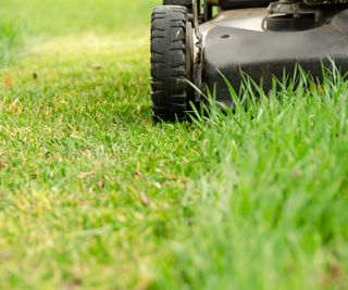 The wheels of a used lawn mower on old lawn grass with its first spring mowing