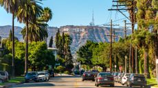 The Hollywood sign