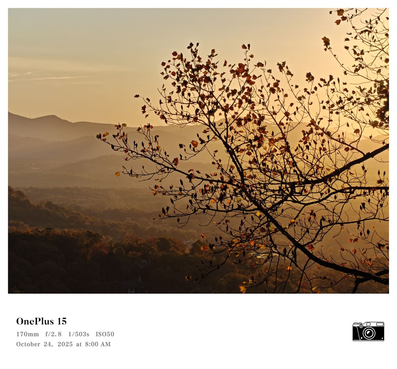A photo of Fall foliage in the mountains, captured with a OnePlus 15