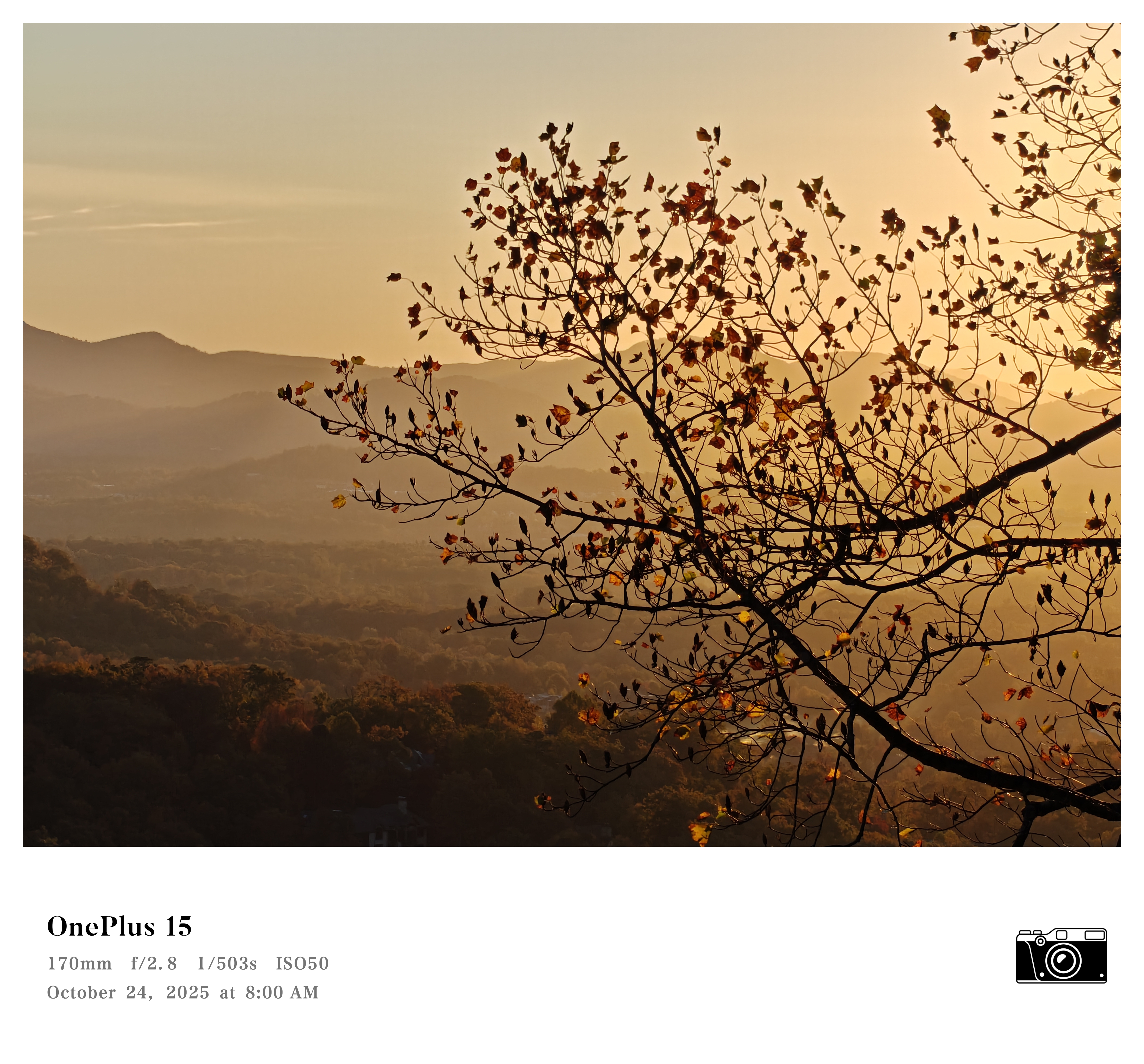 A photo of Fall foliage in the mountains, captured with a OnePlus 15