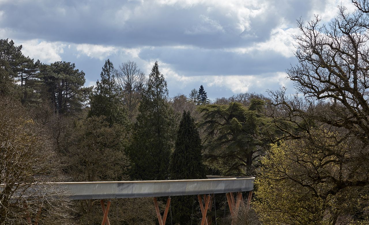 The STIHL Treetop Walkway