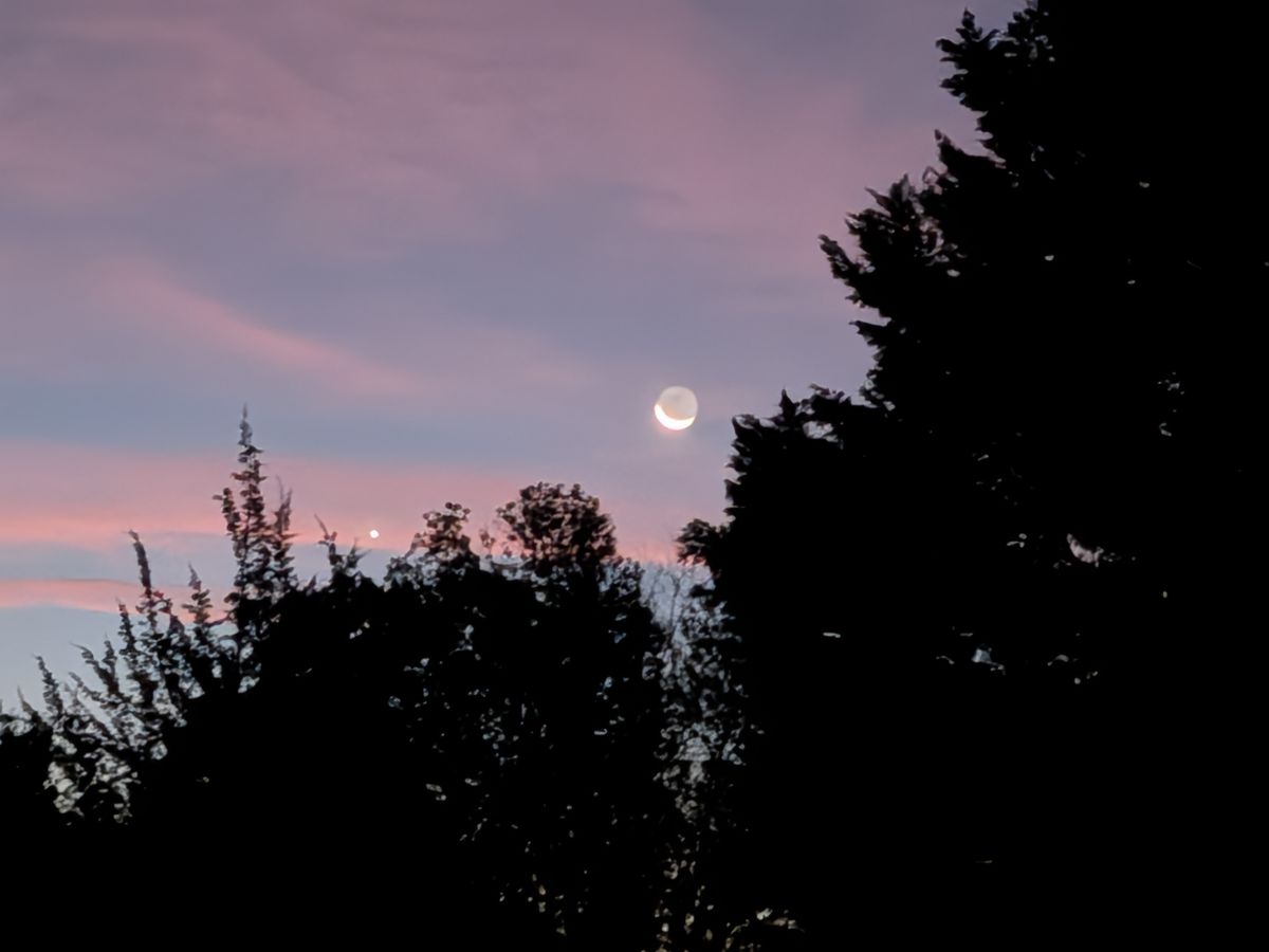 Google Pixel 10 Pro Fold camera samples