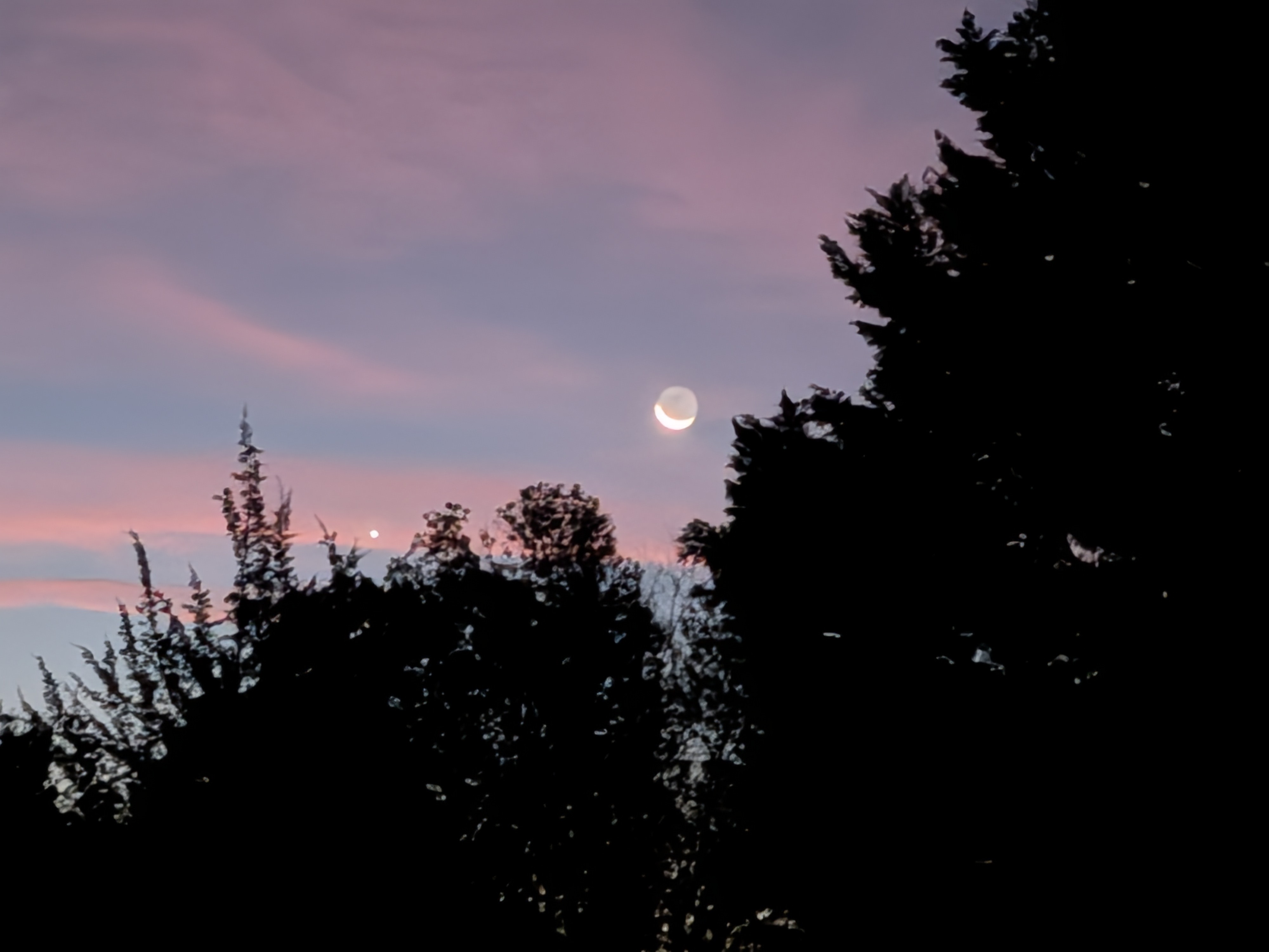 Google Pixel 10 Pro Fold camera samples