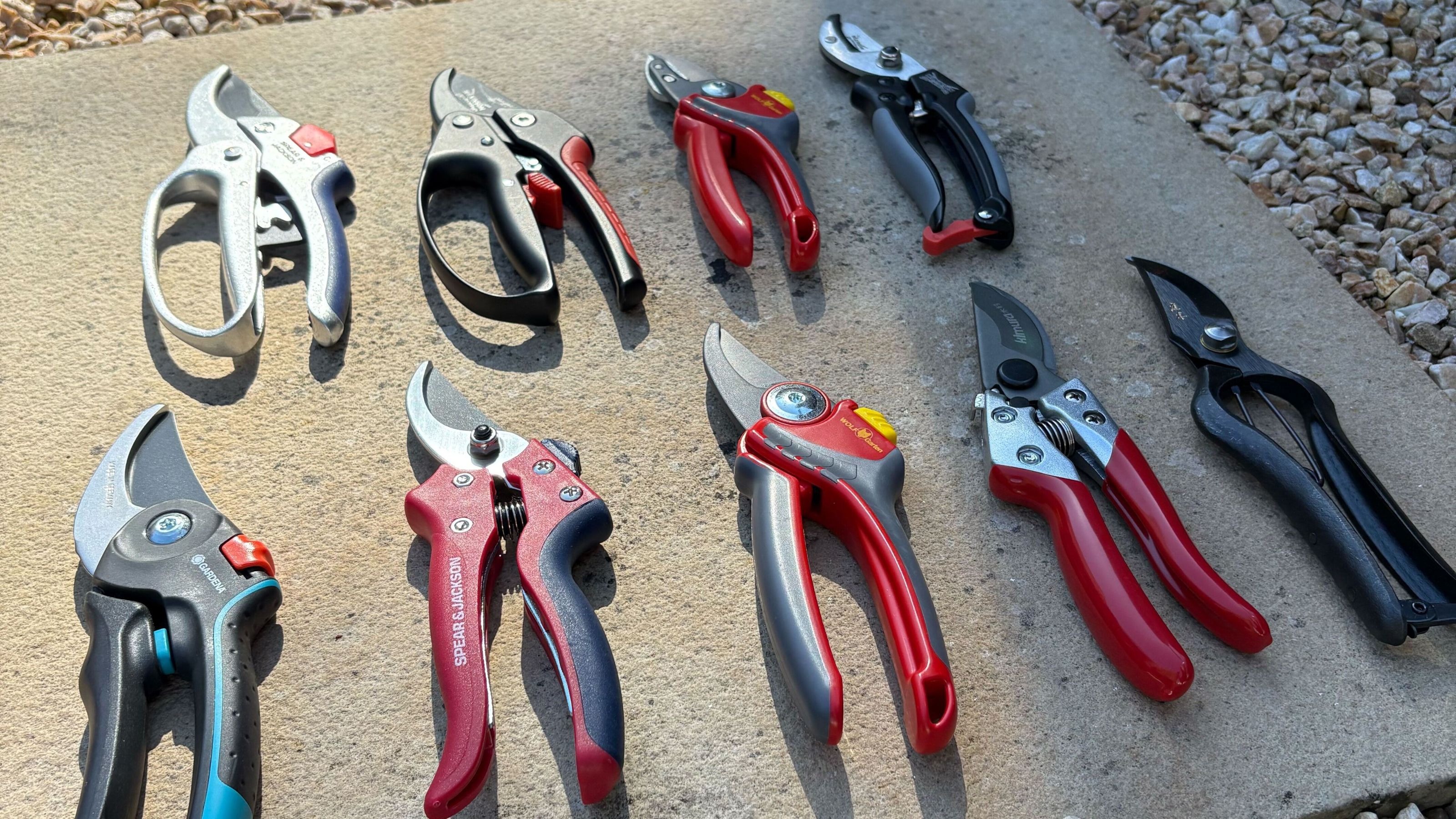 Secateurs in garden