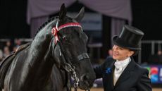 Forgeland Hyde Park is led from the arena by Isabella Mears-Wood; he's one of several prolific show horses and ponies who retured at HOYS 2025