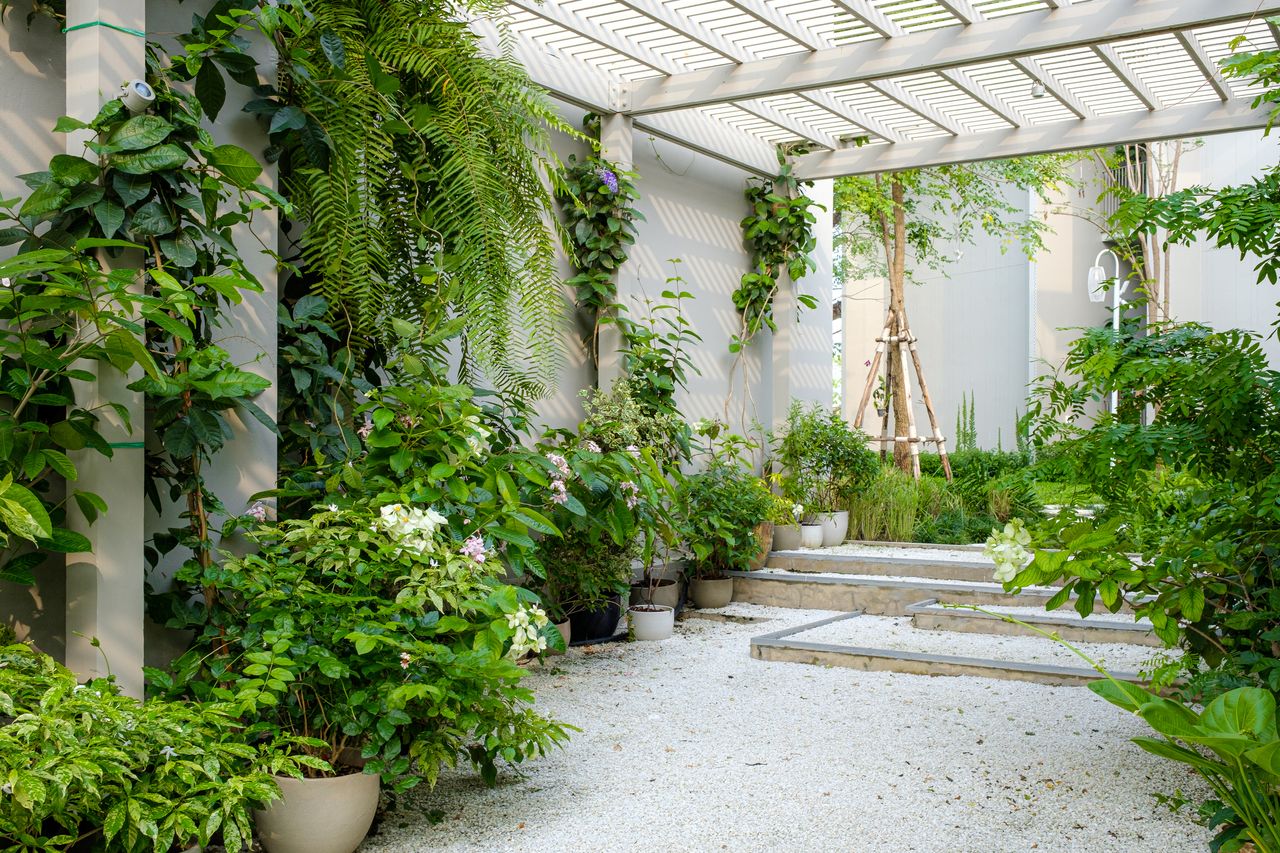 A courtyard full of different trees in container pots