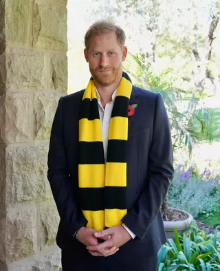 Prince Harry wearing a yellow and black scarf with a blue blazer and poppy pin standing in front of trees