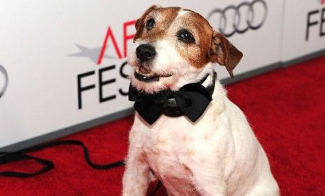 Uggie from &amp;quot;The Artist&amp;quot;