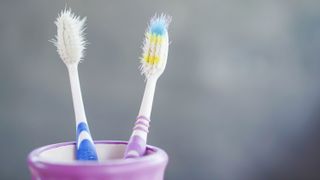 Two toothbrushes in a holder with worn and frayed bristles