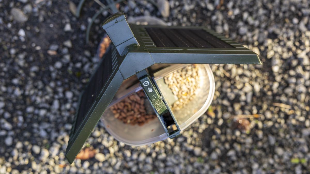 The FeatherSnap Scout bird feeder being filled with seeds