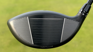 Photo of the club face of the Cobra DS-ADAPT LS Driver