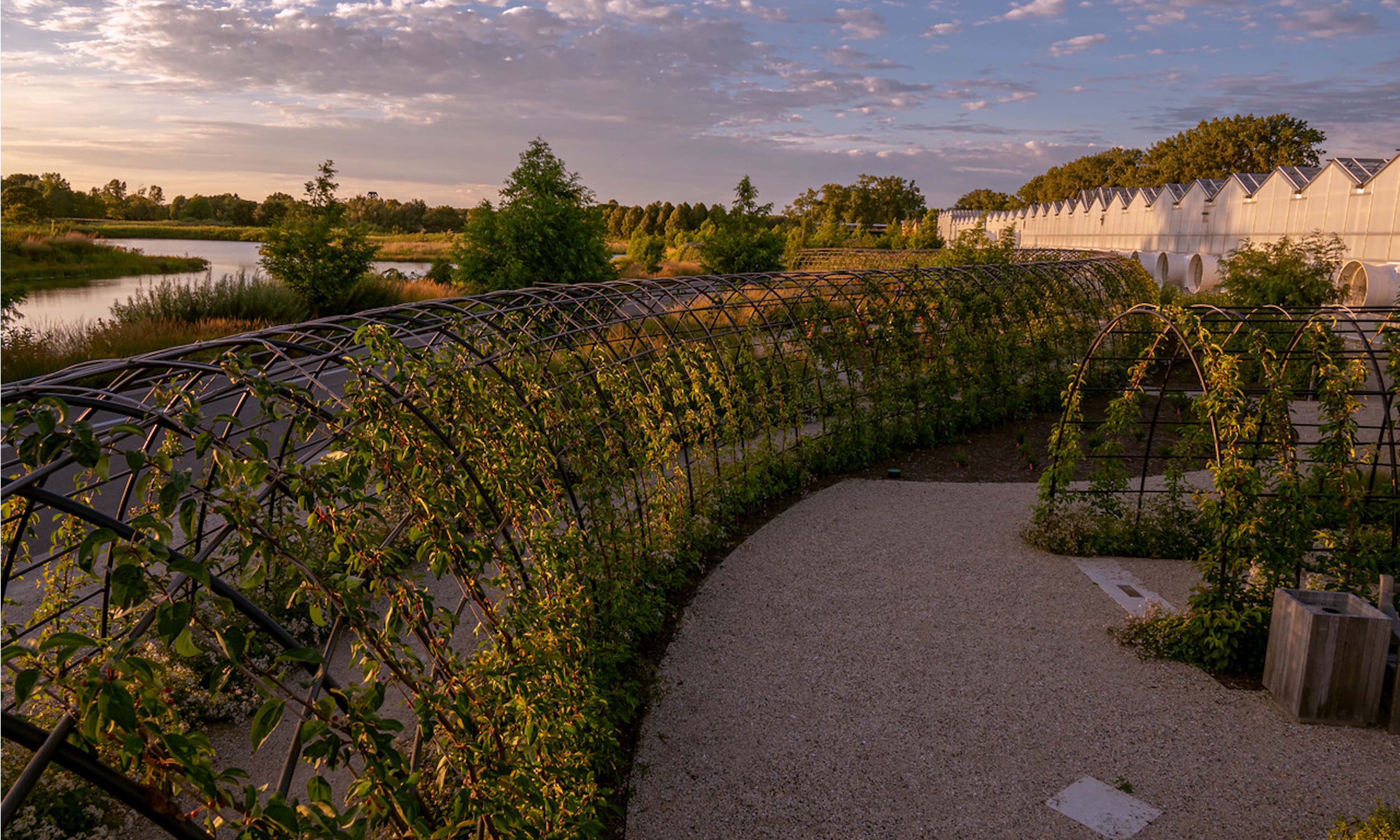 Chicago Botanic Garden&#039;s Shida Garden crap apple tunnels