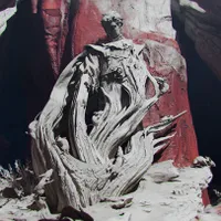 The Alighieri Circle: Dante's Bloodline