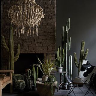 stone wall with cactus plants and chairs