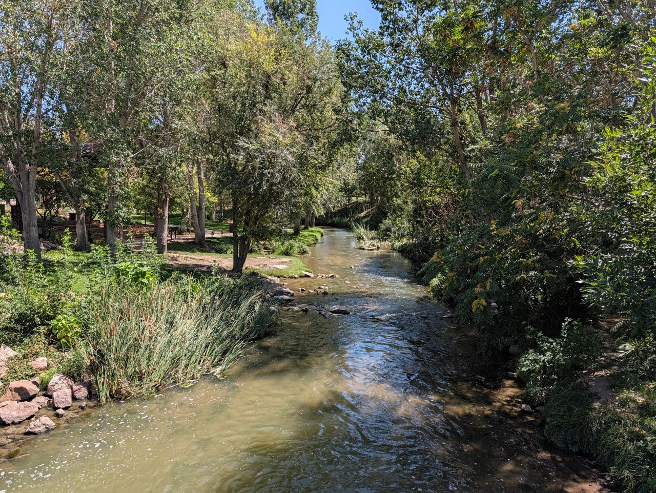 Google Pixel 11 Pro XL camera samples