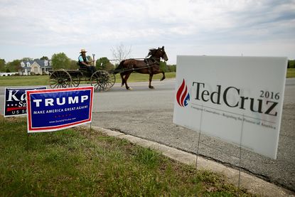 An Amish man rides past a Trump campaign sign