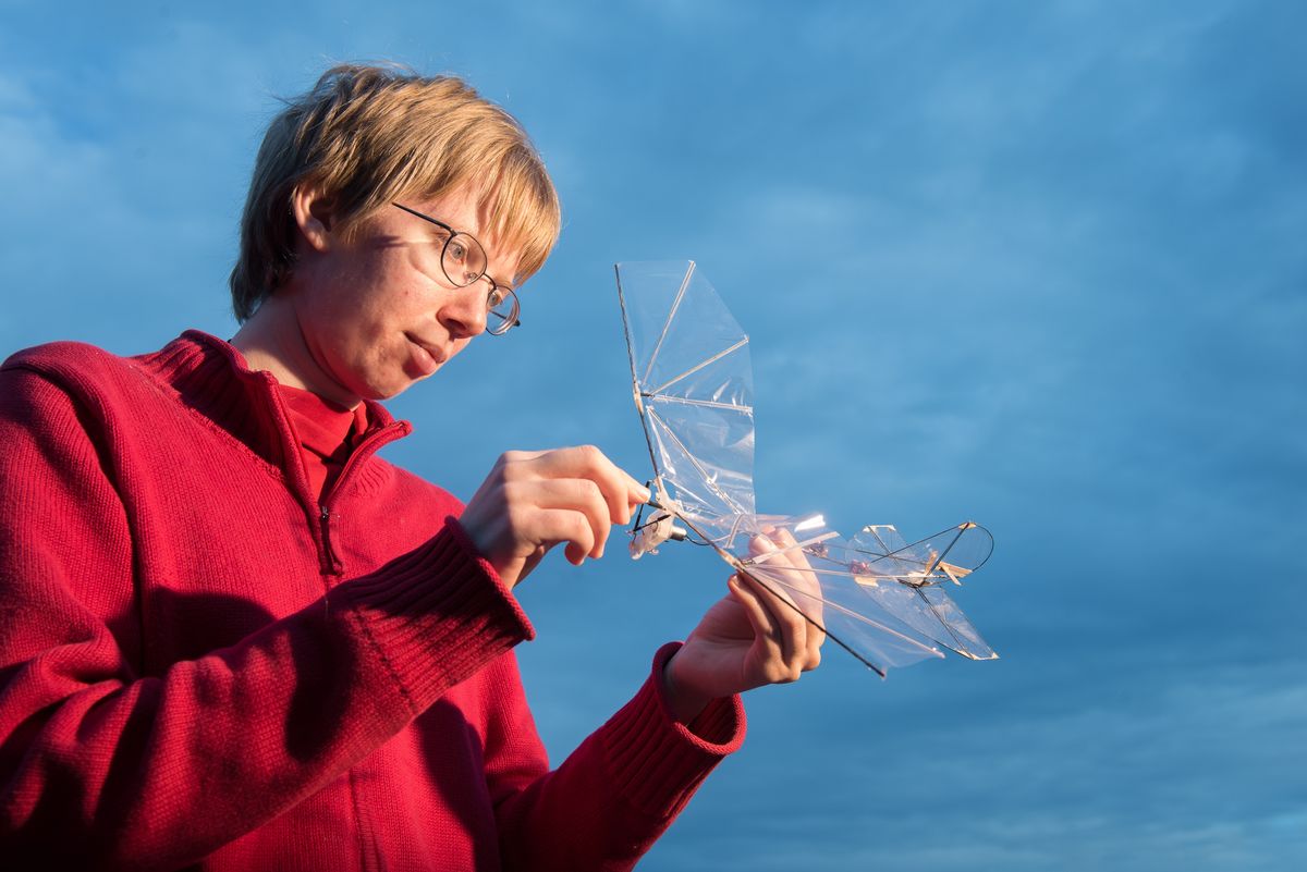 Bird-Inspired Robotic Wings