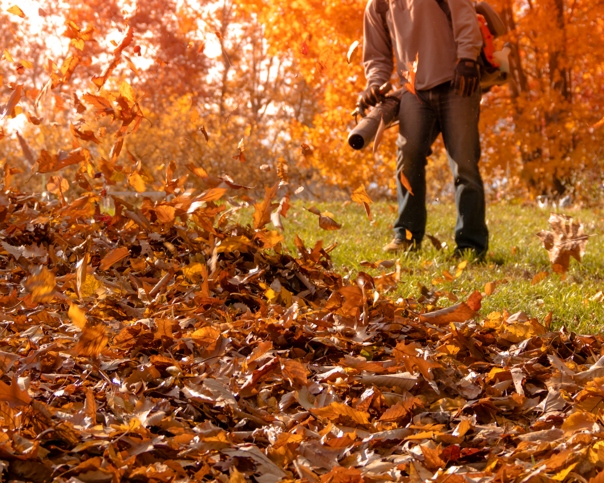 Man blowing leaves