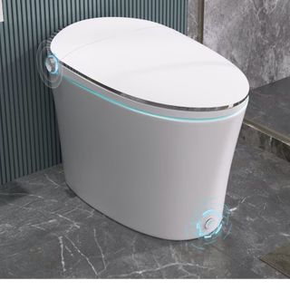 Japanese smart toilet