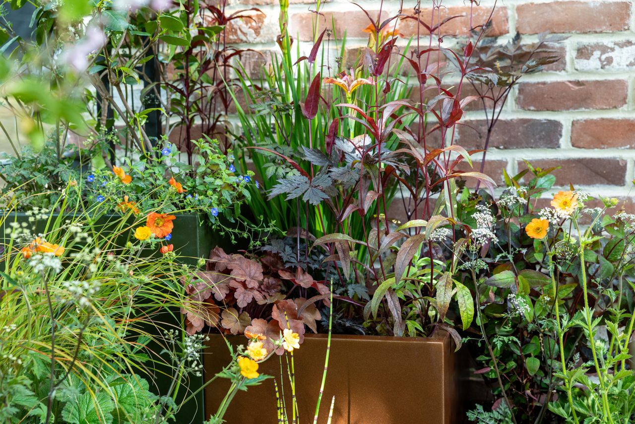 Images and details showing the planting and structure of the transient garden. Lots of brick, leafy greens and brushed metal