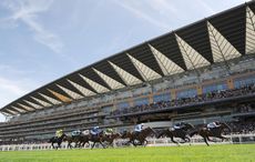 ascot brawl