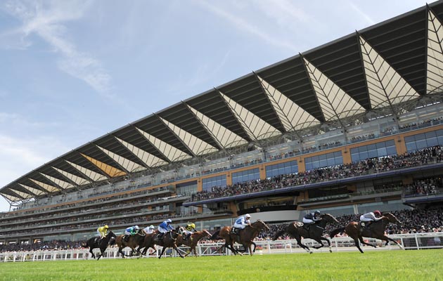 ascot brawl