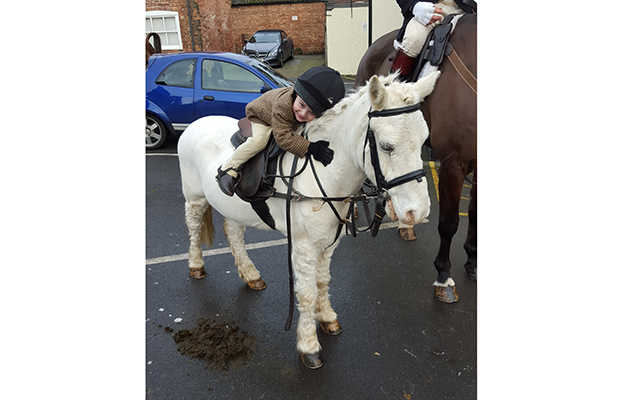 Four-year-old Paddy Finnegan and 27-year-old Polo take a moment to relax during a visit to the Grove and Rufford's meet at Bawtry