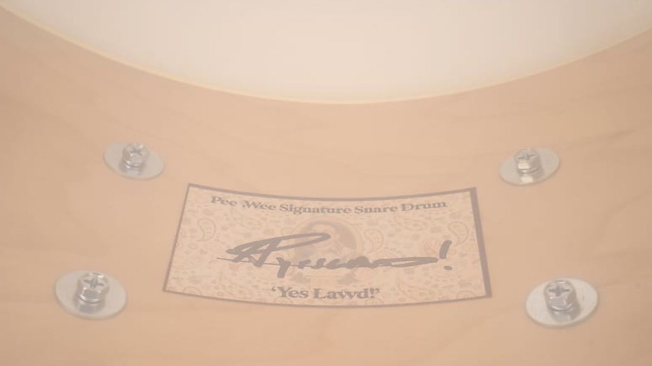 Anderson .Paak Ludwig Reverb Store Pee .Wee collection